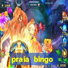 praia bingo dinheiro infinito 2022